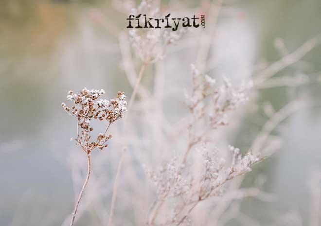 Edebiyatımızda Haiku örnekleri