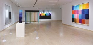 Sadece ışık ve renk