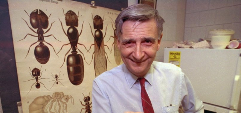 EDWARD O. WILSON, BIOLOGIST KNOWN AS ANT MAN, DEAD AT 92