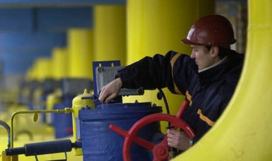 Germany has almost completely replaced Russian gas, new figures show