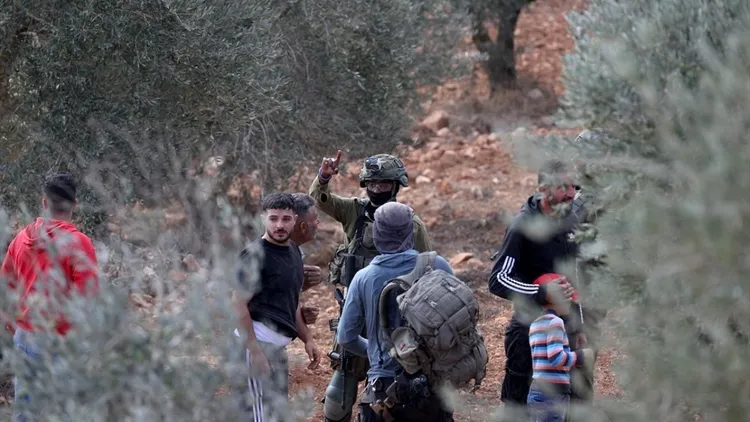 Genocidal Israeli forces intervened against Palestinians trying to harvest olives in the West Bank