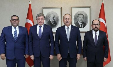 Turkish FM Çavuşoğlu meets Syrian opposition figures in Ankara