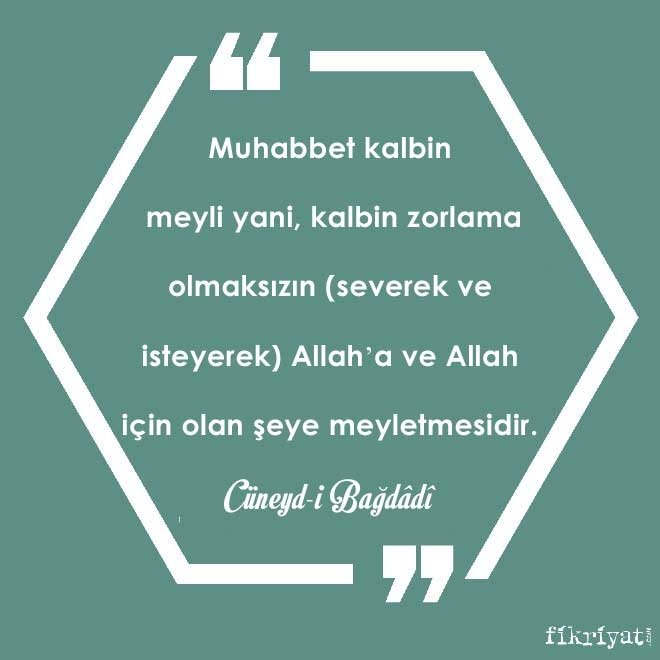 havuz yarış oyunları