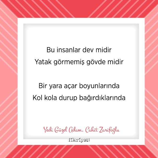Yedi Güzel Adam