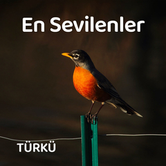 Gönül Şarkıları