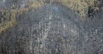 Burned forests not to be open for construction: Turkish minister