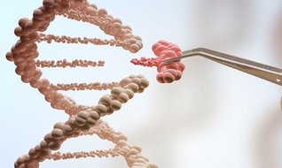 Biyoteknoloji açlığa çözüm olabilir