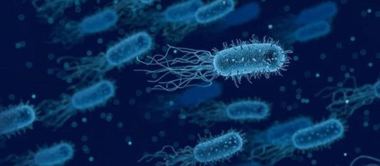 Bilim insanları, yapay zekayla süper bakteriye karşı yeni bir antibiyotik keşfetti