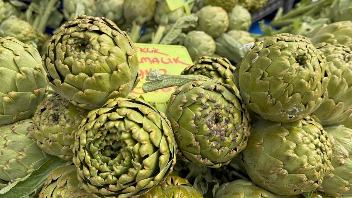 URLA’DA BİN LEZZET, TEK FESTİVAL: ENGİNARLA DOLU DOLU ÜÇ GÜN