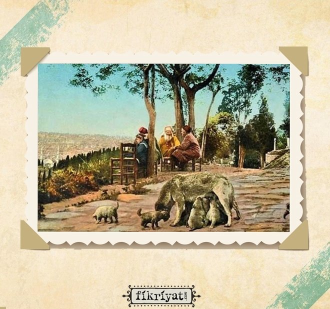 Avrupali Seyyahlari Sasirtan Osmanli Daki Hayvan Sevgisi Galeri Fikriyat Gazetesi