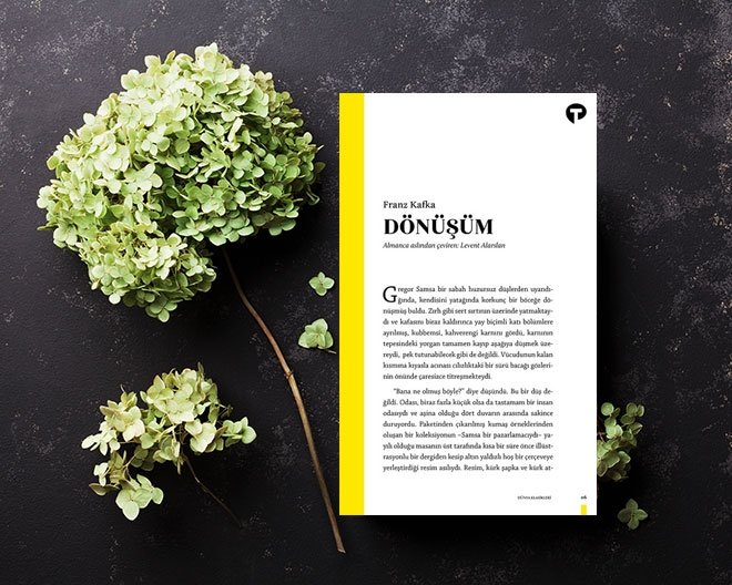 DÖNÜŞÜM-FRANZ KAFKA