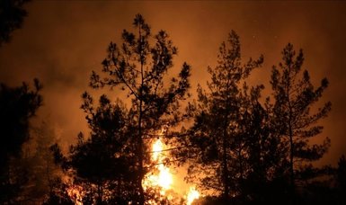 Wildfire in Türkiye’s Marmaris brought under control: Minister