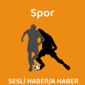 Spor