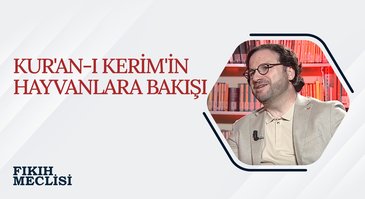 Kur'an-ı Kerim'in Hayvanlara Bakışı | Fıkıh Meclisi