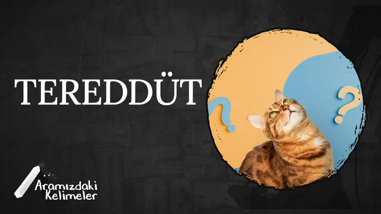 Tereddüt | Aramızdaki Kelimeler