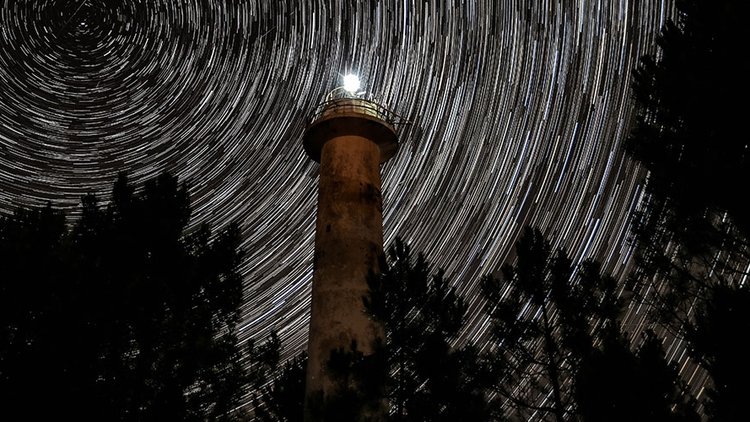 Ağaçların çevrelediği deniz feneri