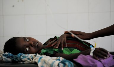 Number of people at risk of starvation in Horn of Africa has increased to 22 mln - WFP