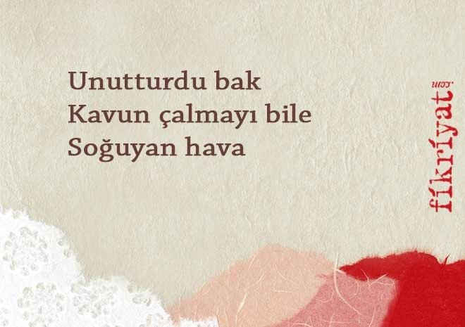 Haiku nasıl yazılır?