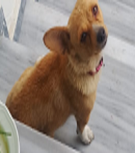 Karamel