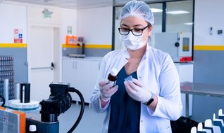 Çam Kozalağının Sırrı