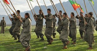 Alp Dağı eteklerindeki PKK eğitim kampı Europol raporunda