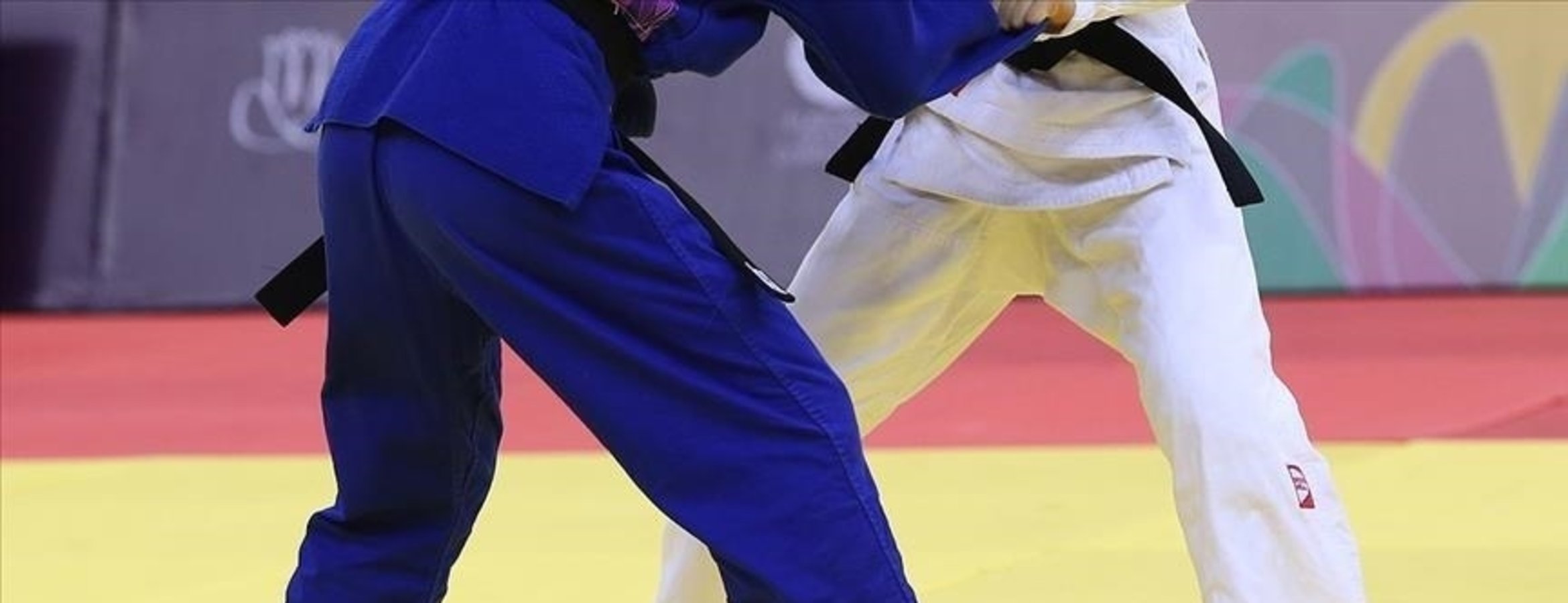 Milli judocular, Avrupa Kupası’nın Saraybosna ayağında 3’ü altın, 8 madalya kazandı