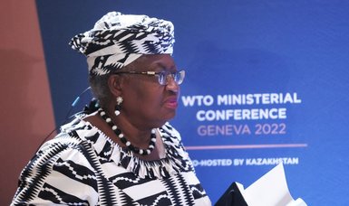 WTO chief warns world edging into 'global recession'