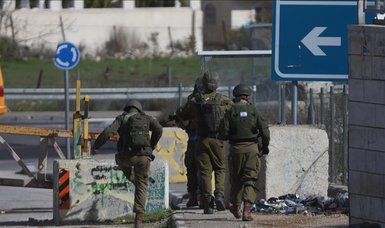 Israeli army detains 20 more Palestinians in West Bank