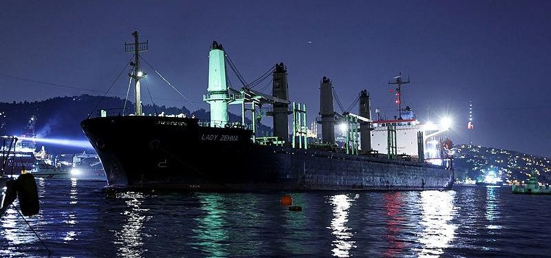 Cargo vessel carrying more than 3,000 tonnes of corn from Ukraine drifts aground in Bosphorus strait