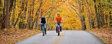 YenibirturizmYaprakizleme