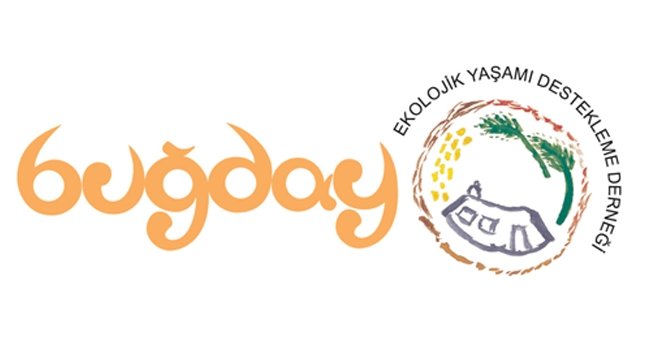 Buğday tanesi