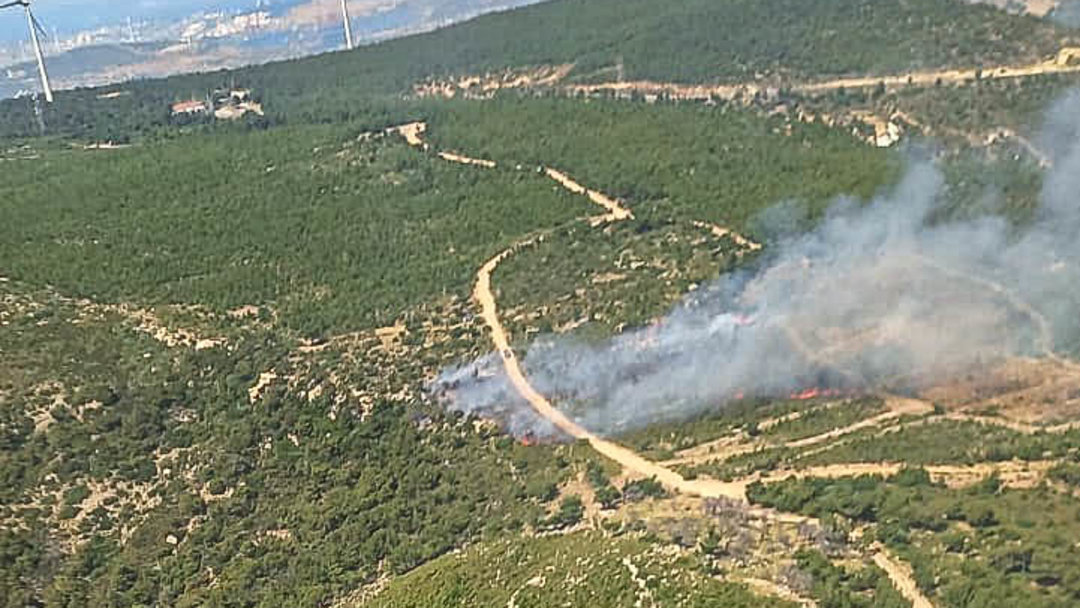 İZMİR’DE ORMAN YANGINI