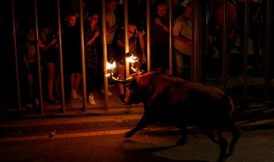 Man dies after being gored by bull at Spanish festival