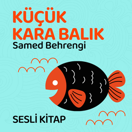 Küçük Kara Balık
