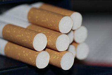 DSÖ, tütünün her yıl 7 milyon kişinin ölümüne neden olduğunu bildirdi