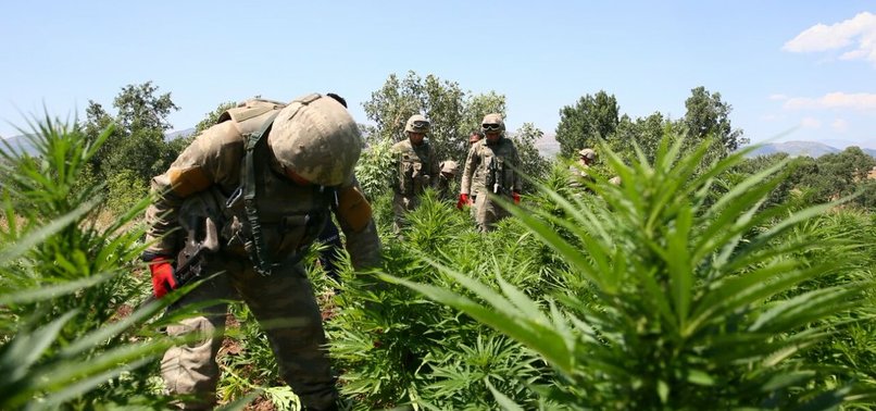 BLOODY-MINDED PKK TERROR GROUP FEEDS OFF ILLEGAL DRUG TRADE