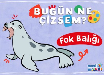 Bugün Ne Çizsem? Fok Balığı