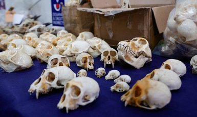 Paris airport customs seize hundreds of monkey skulls