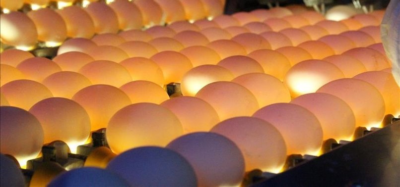 FRANCE TO PUBLISH LIST OF TAINTED-EGG PRODUCTS
