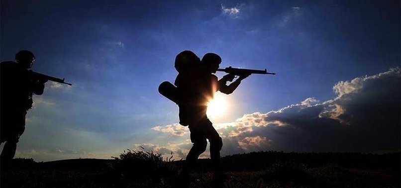 2 PKK TERRORISTS SURRENDER TO TURKISH SECURITY FORCES