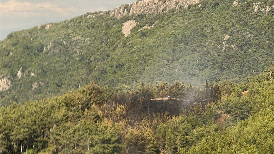 MUĞLA’DA ORMAN YANGINI