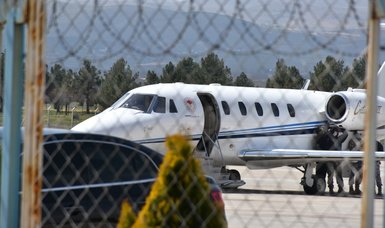 Agriculture minister's jet makes urgent landing in Turkey