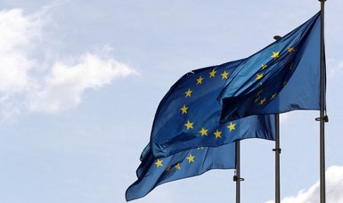 EU Commission criticizes Schengen countries' visa delays, lack of information