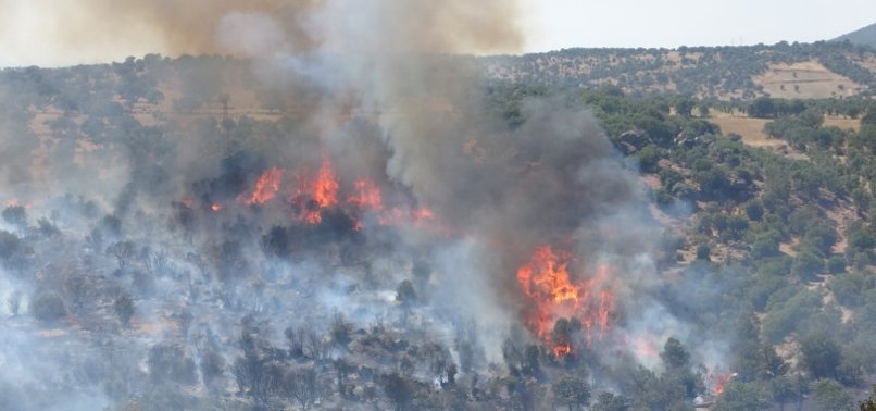 TÜRKIYE CONTINUES TO BATTLE FOREST FIRES IN ITS WESTERN, SOUTHERN PROVINCES