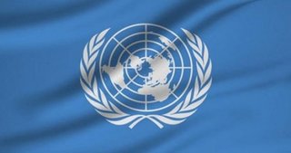 BM’den flaş Suriye kararı!