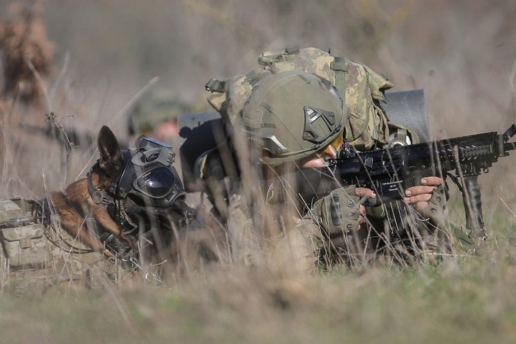 Turkish Armed Forces ranked as most powerful army in Mideast