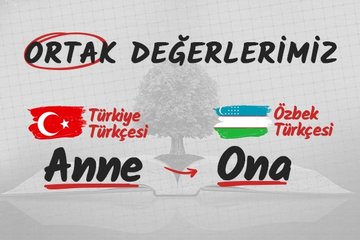 Türk Lehçelerinde ortak kelime anne
