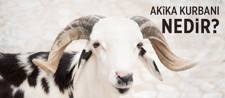 akika kurbani nedir akika kurbani ne zamana kadar kesilir fikriyat