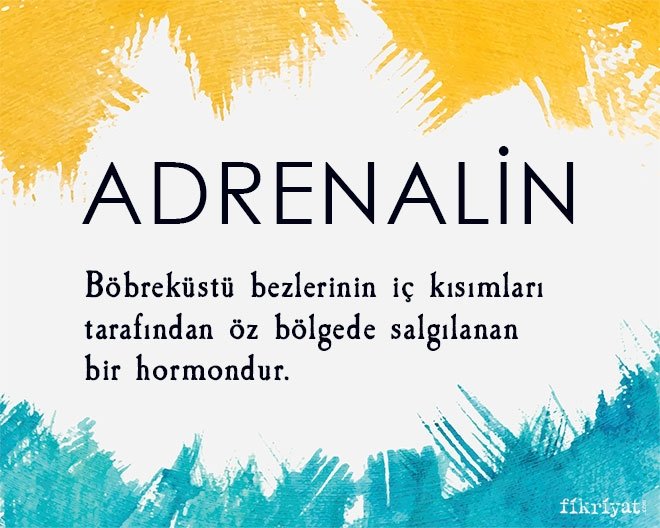 ADRENALİN