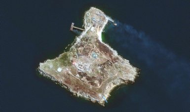 Ukraine refutes reports of Russia's voluntarily withdrawal from Snake Island, says they 